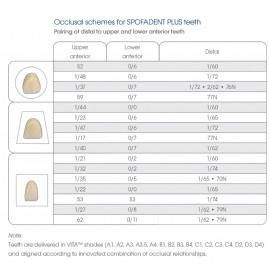 Зъбна гарнитура Spofadent Plus